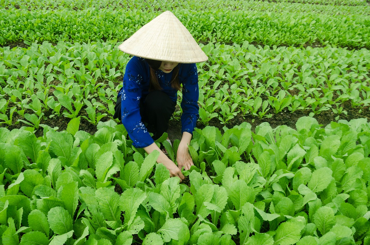 最新芜湖新闻概览，掌握最新动态，了解芜湖发展动态